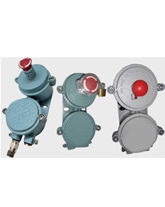 Flameproof Stop Push Button Station